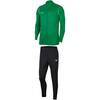 Nike Park 20 Herren Trainingsanzug - PINE GREEN/WHITE - S