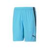 Puma teamLIGA Shorts - Farbe: Blue Atoll-Puma Black - Gr. 3XL
