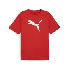 Puma teamRISE Logo T-Shirt Baumwolle