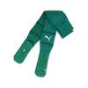 Puma teamFINAL Socks - Farbe: Sport Green-PUMA White-Power Green - Gr. 1