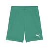 Puma teamGOAL Shorts - Farbe: Sport Green-PUMA White - Gr. 3XL