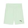 Puma teamGOAL Shorts - Farbe: Fresh Mint-PUMA Black - Gr. XL