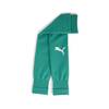 Puma teamGOAL Sleeve Sock - Farbe: Sport Green-PUMA White - Gr. 4